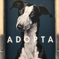 calle_lavapies_adopta2