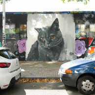 Mural_cat_general