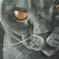 detail_cat_mural